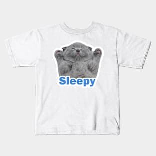 vintage-sleepy cat Kids T-Shirt